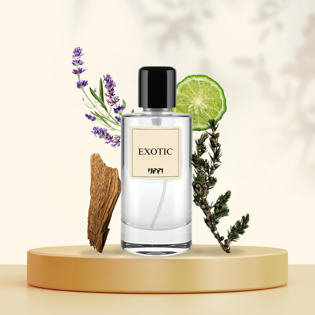 EXOTIC